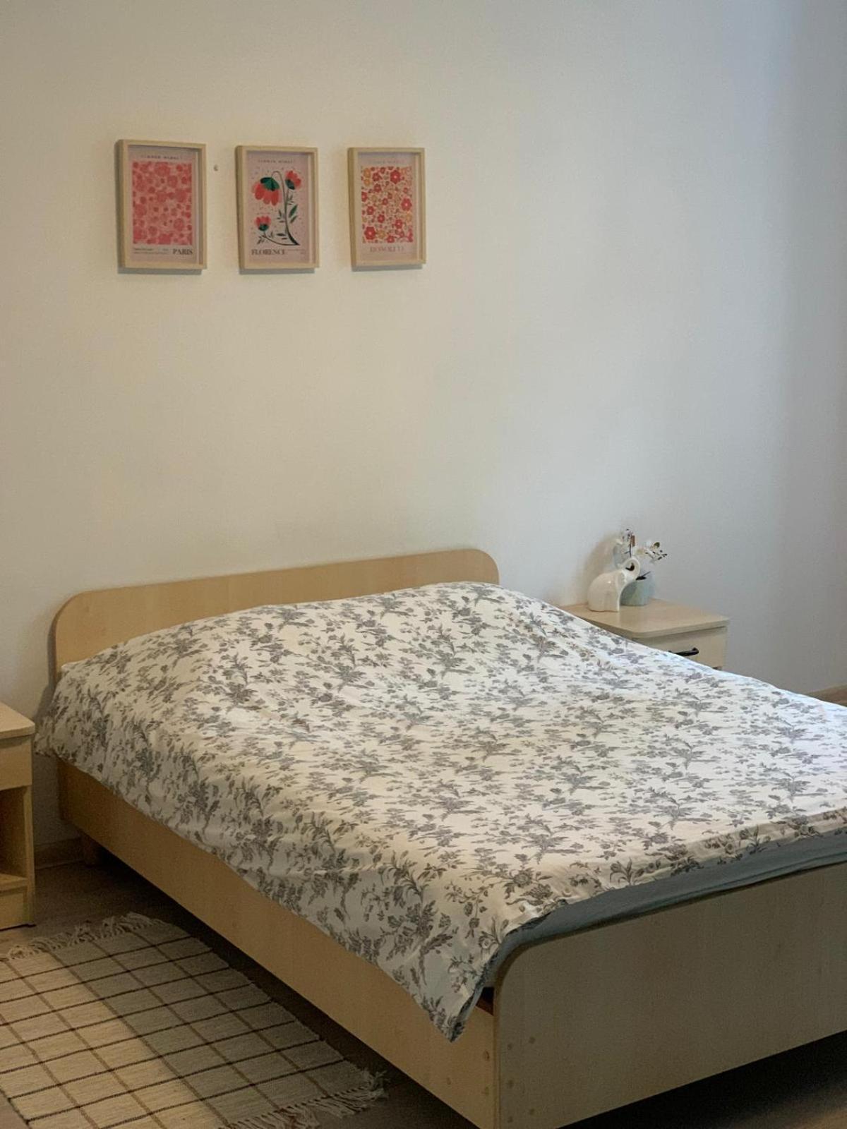 Bright And Spacious Apartment Szczecin Bagian luar foto
